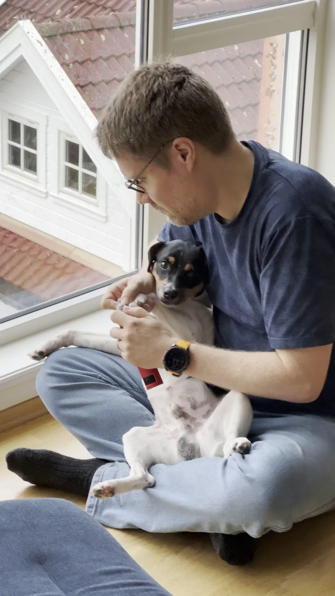 Tintin – 25.10.2025, video 47