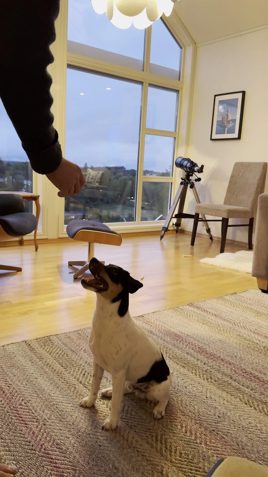 Tintin – 04.10.2025, video 58