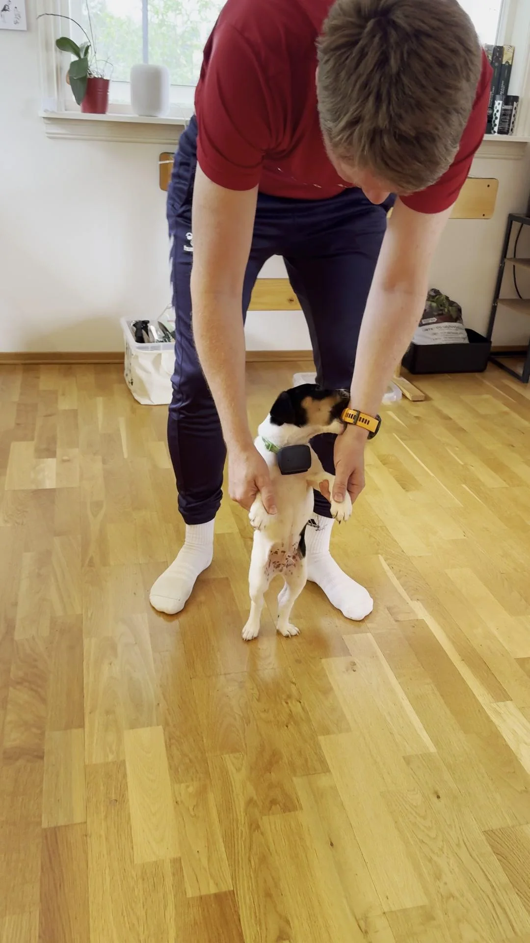 Tintin – 15.06.2025, video 116
