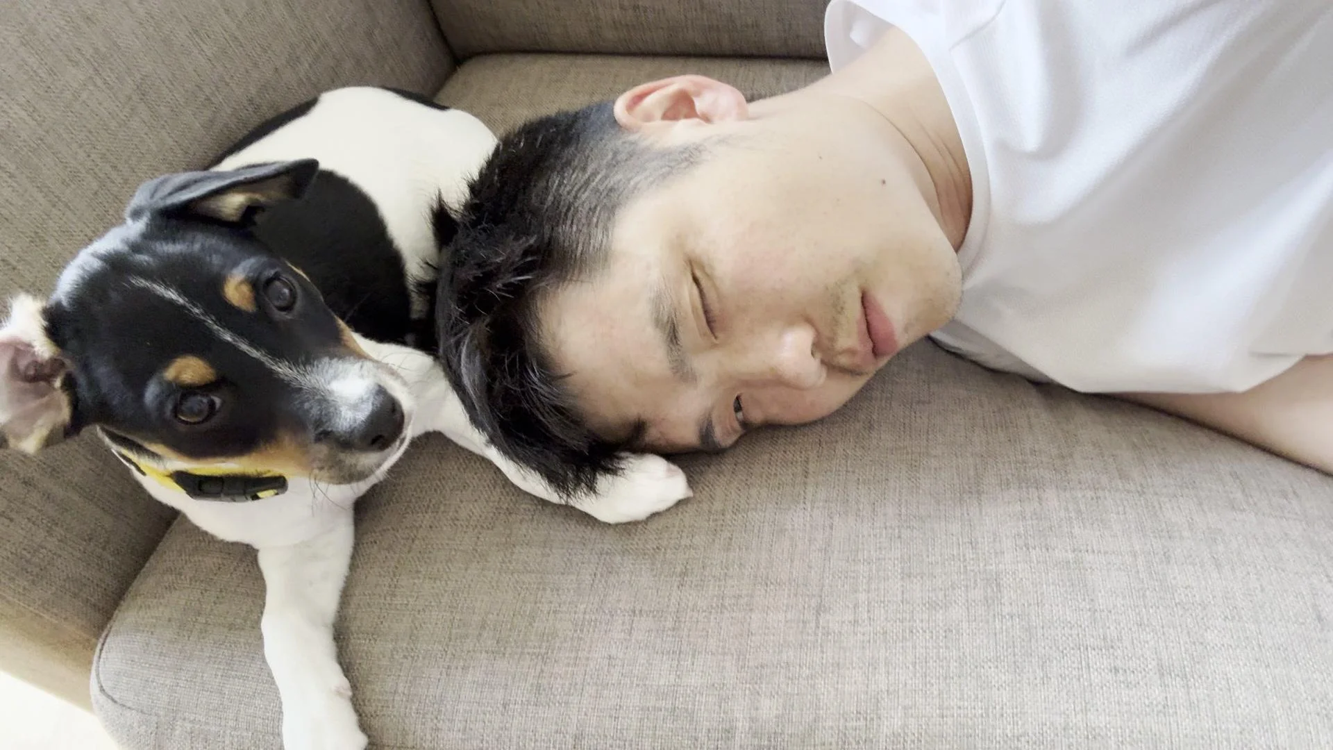 Tintin – 07.07.2025, video 109