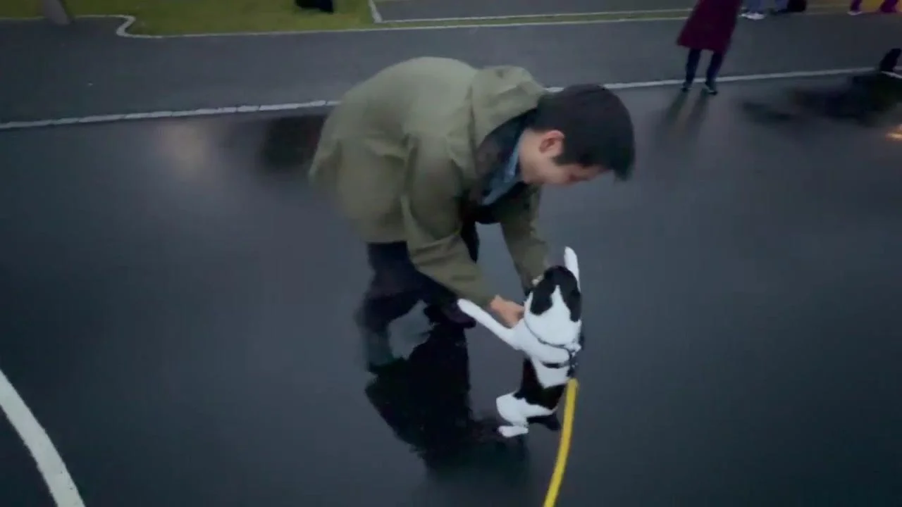 Tintin – 20.09.2025, video 63