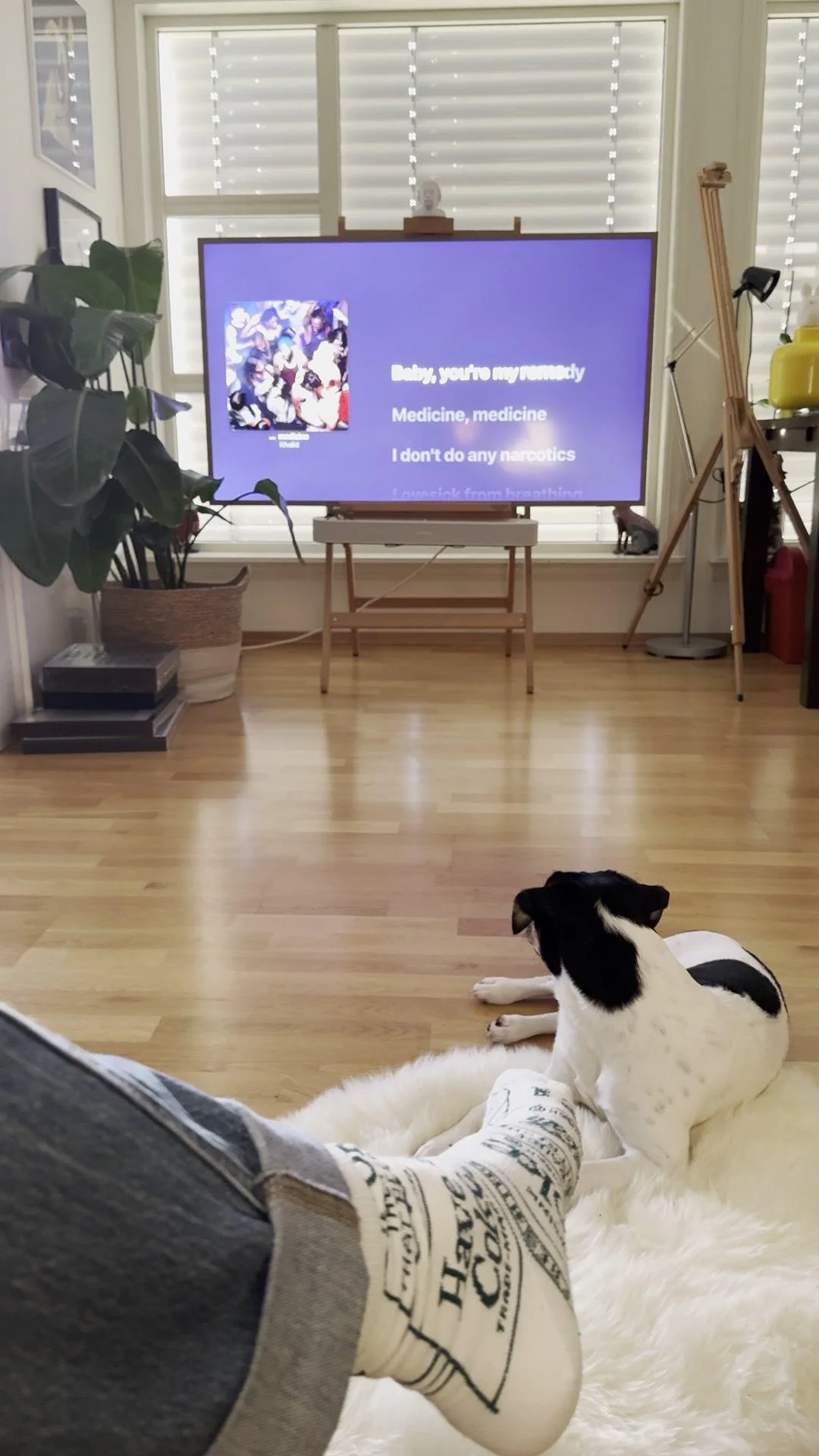 Tintin – 19.10.2025, video 48